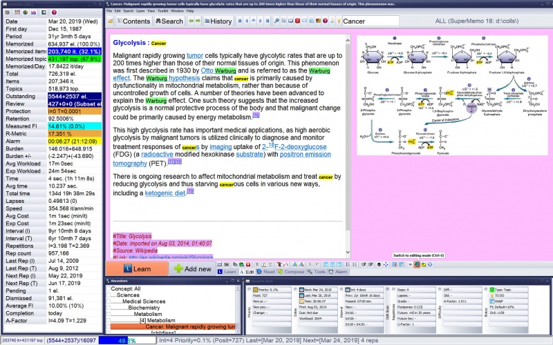The main SuperMemo windows and toolbars at the Professional level